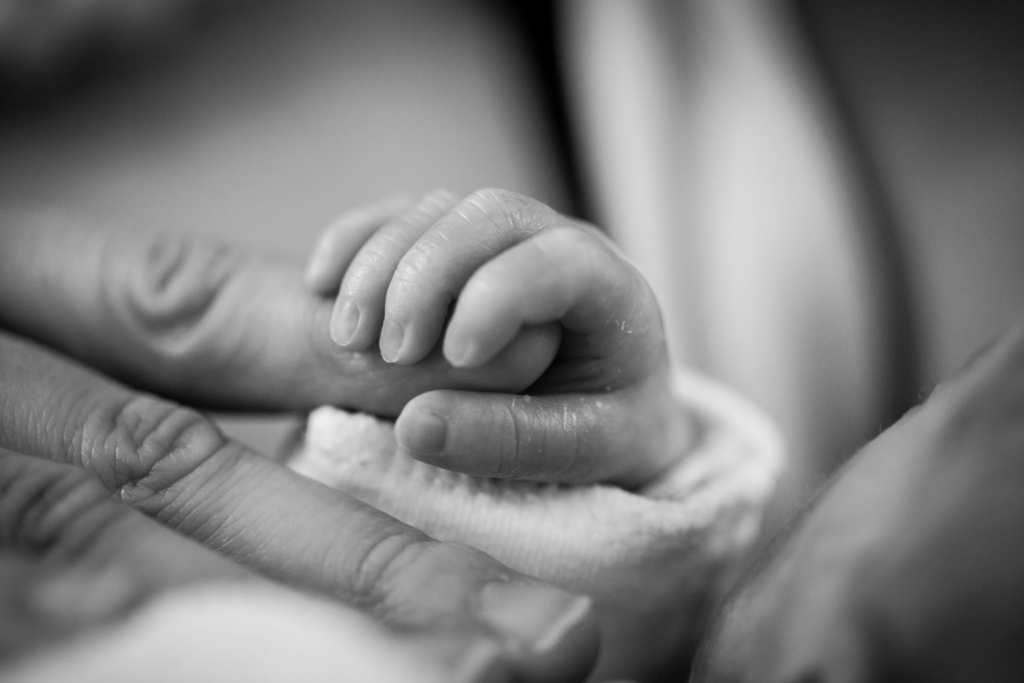 pexels-pixabay-208189 futurefamily.com